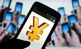 互聯網支付 心跳加速的便利，網絡與信息安全軟件開發的守護之道